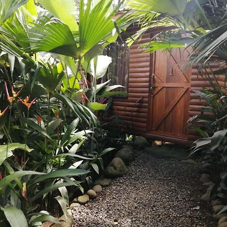 Arenal Rustic Lodge Alajuela Exterior photo
