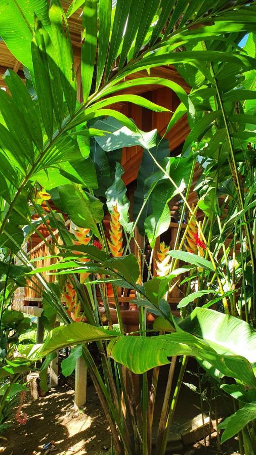 Arenal Rustic Lodge Alajuela Exterior photo